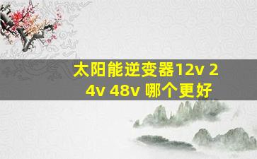 太阳能逆变器12v 24v 48v 哪个更好